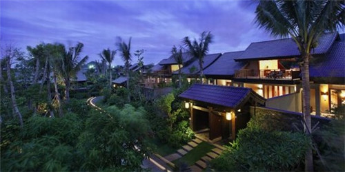 喵不乖分子冰淇淋