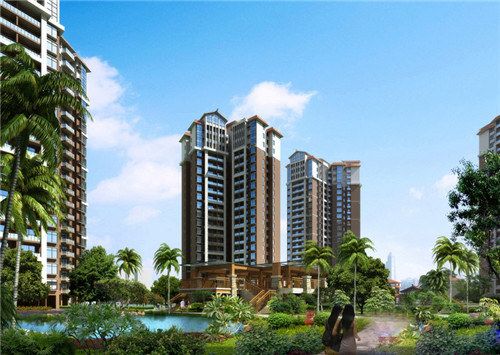 澳美徕澳门花胶鸡