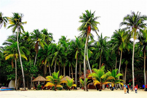 派立洁洗车世家