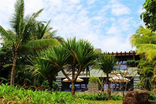 城市爱情炒酸奶