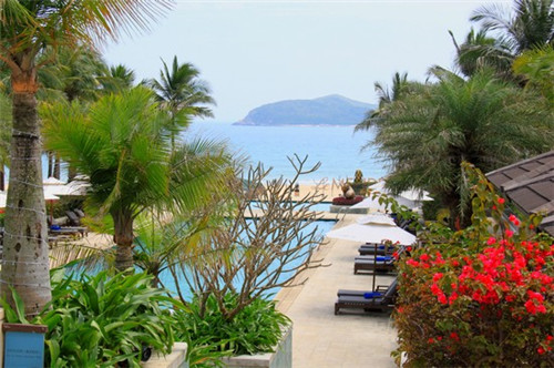 多佳基烧仙草连锁店有多少