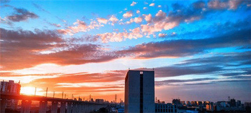 红色文件是什么意思（红色文件夹图片大全）