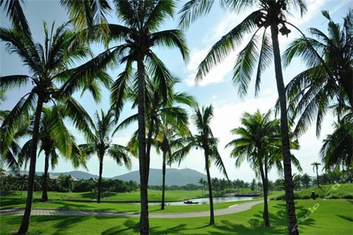 小竹笋炒牛肉末的做法（小竹笋炒牛肉的做法大全家常）