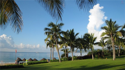 沙棘排毒加盟费多少