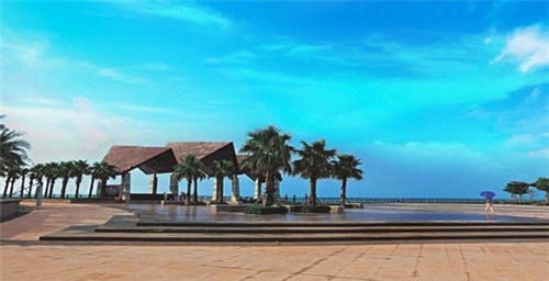 冬虫夏草和润送礼可以吗（冬虫夏草和润1248）